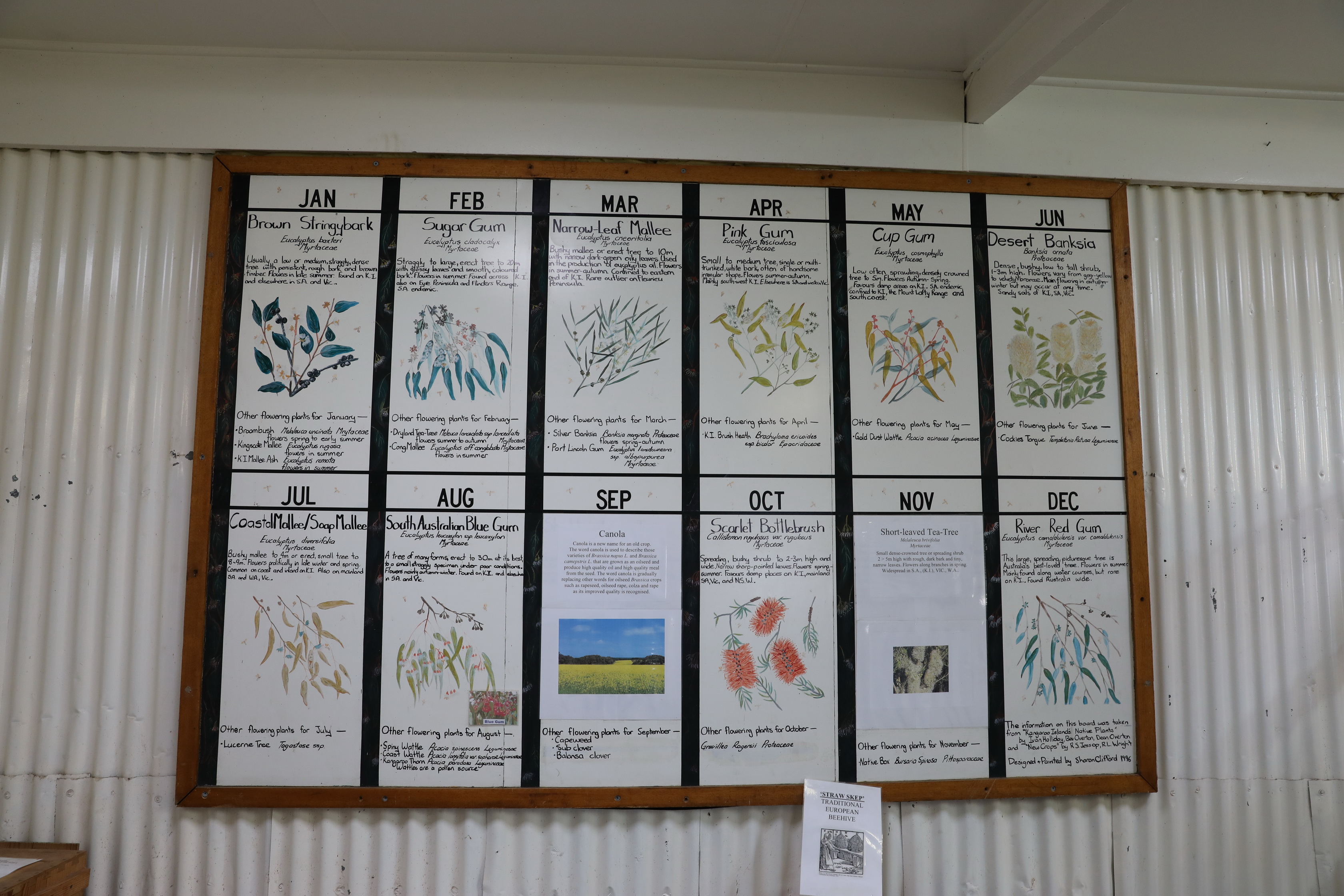 2019 10 04 16 11 54 Canon EOS 5D Mark IV 0033